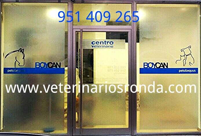 BOYCAN Veterinarios banner