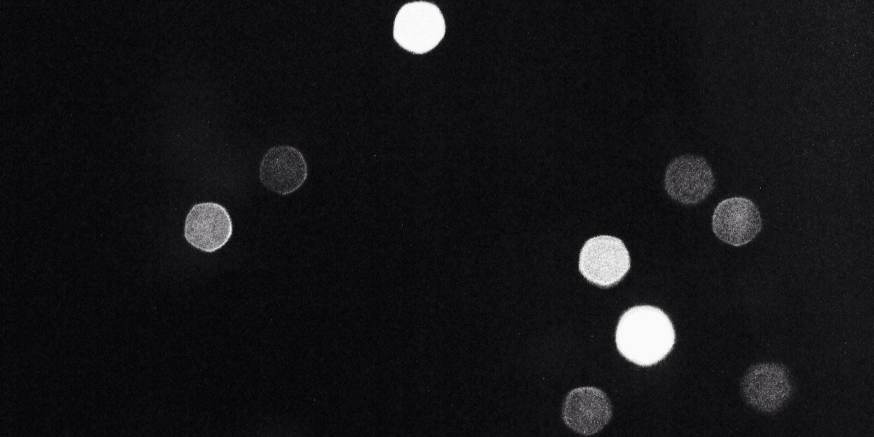 anindya sidarta | ETHGas ⛽ banner