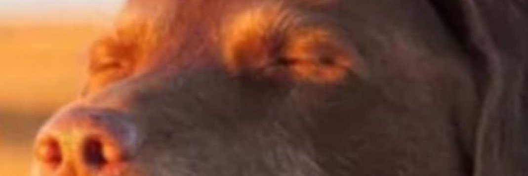 underclassmen's profile banner image