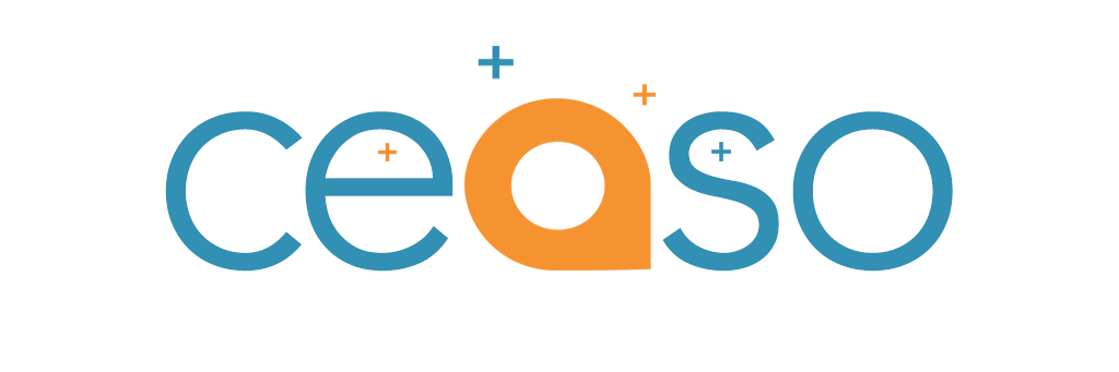 CEASO49's profile banner image
