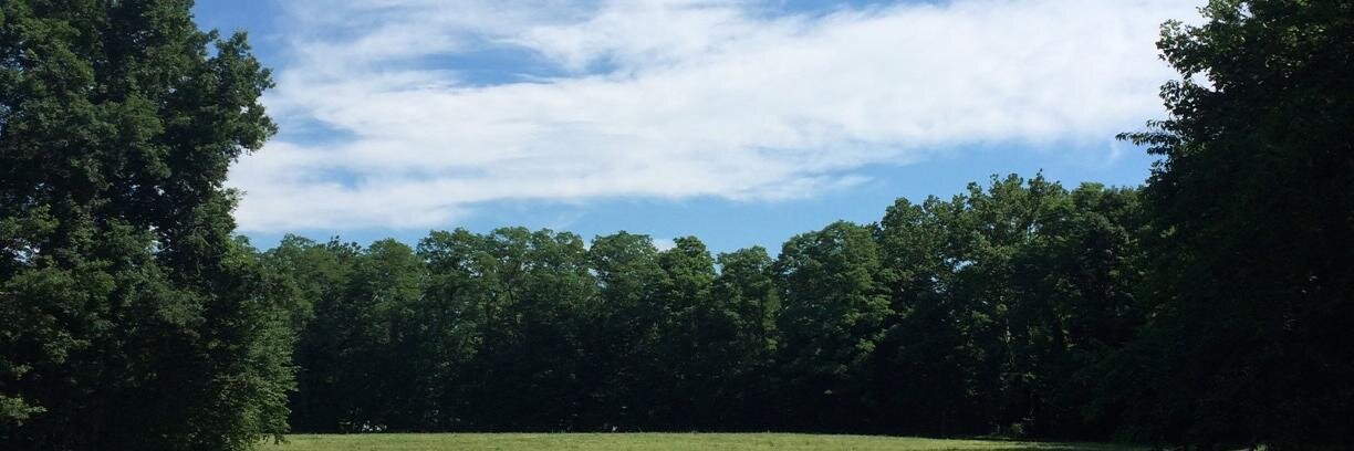 Francesca DeRogatis banner