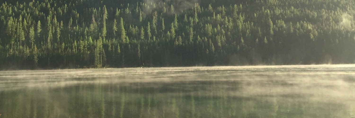 aa_perry's profile banner image
