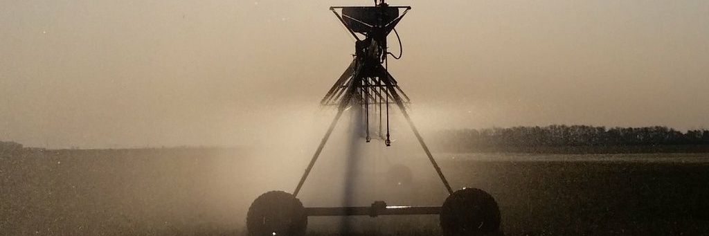Tillorie_Farms's profile banner image
