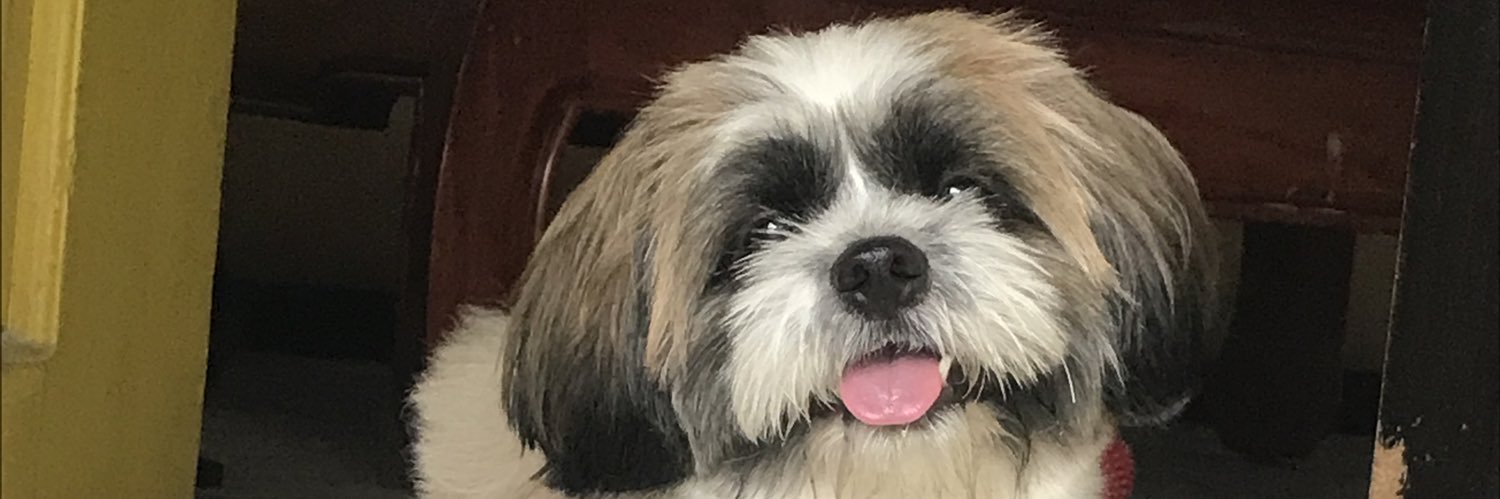 darlalulay's profile banner image