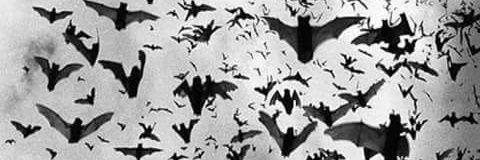 Lilith16671865's profile banner image