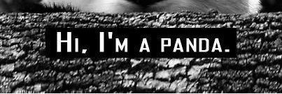 _panda_clouds's profile banner image