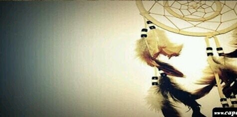 ThaisPerina's profile banner image