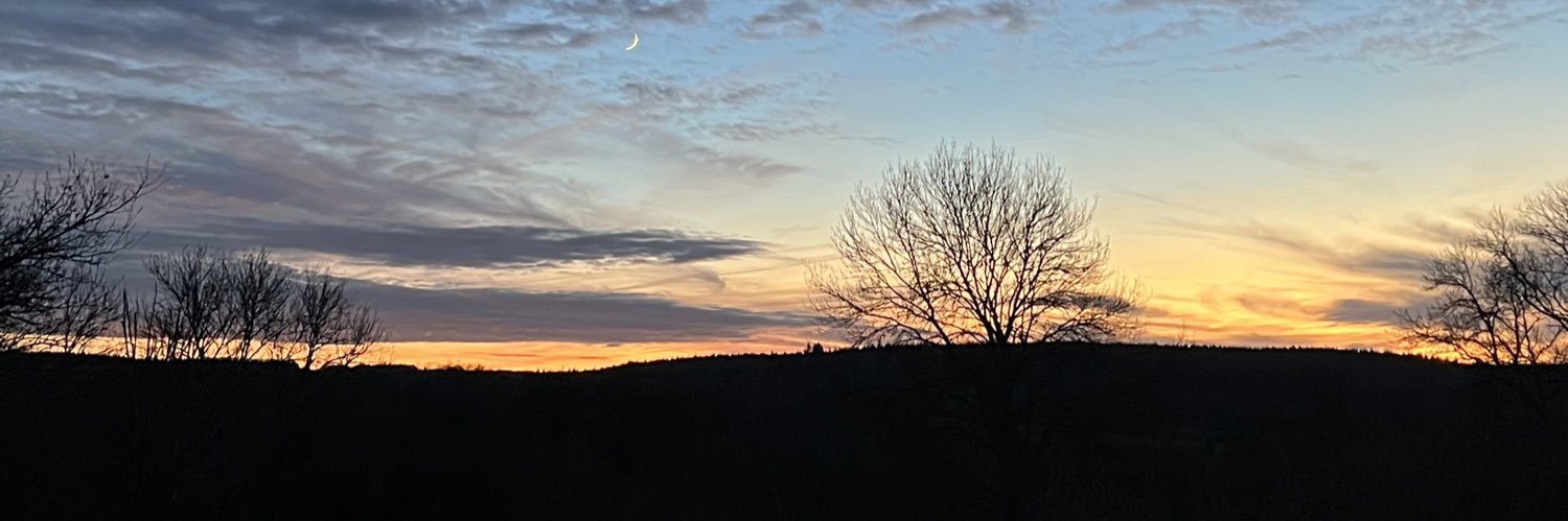 _Viedepingouin's profile banner image
