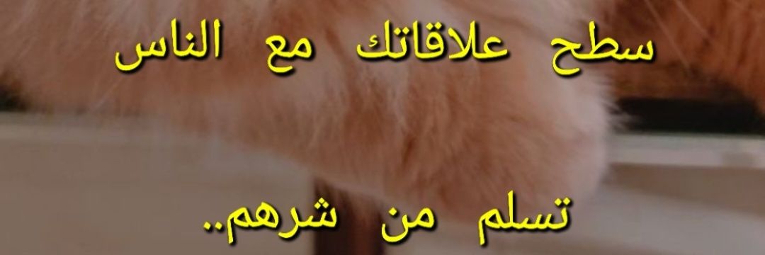1Nooon's profile banner image