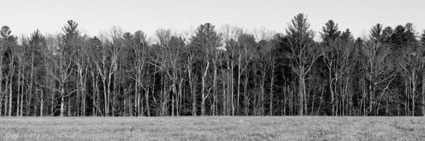 1L_Phil Profile Banner