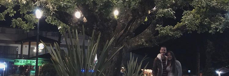 wiilsep's profile banner image