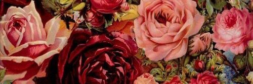 _Kate_Tz's profile banner image