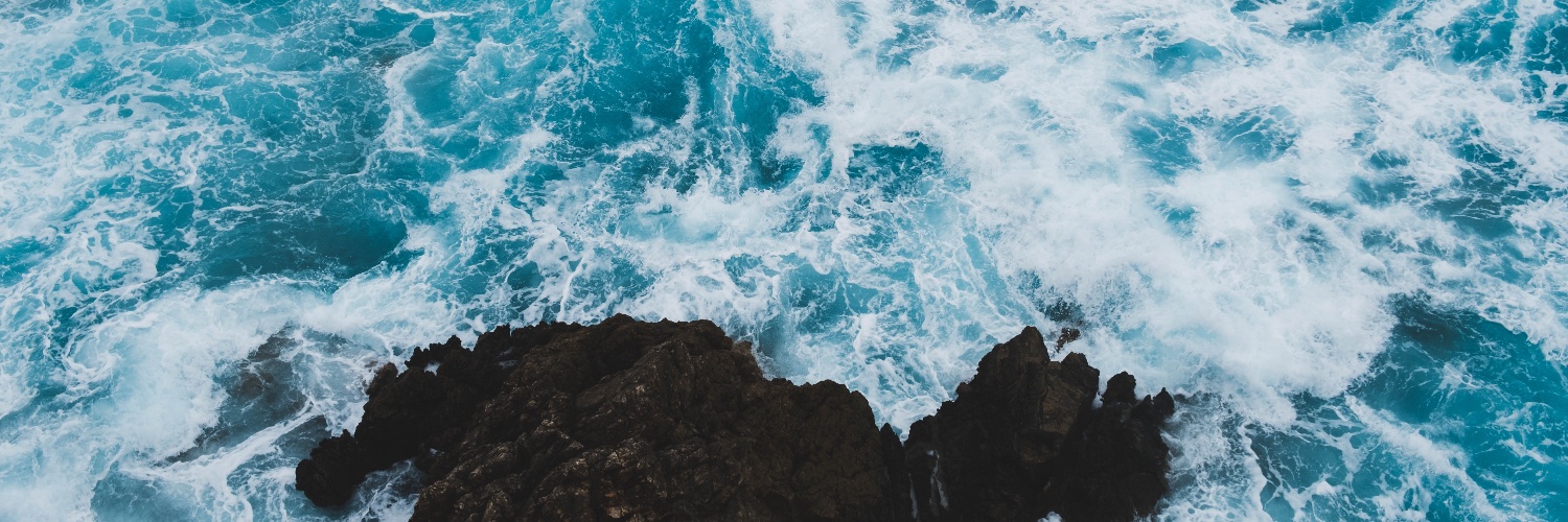 Thomas Jarrand banner