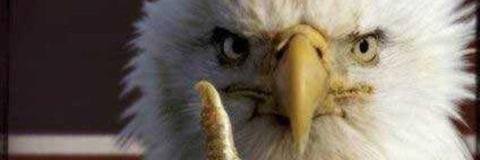 MattJ_Cups's profile banner image