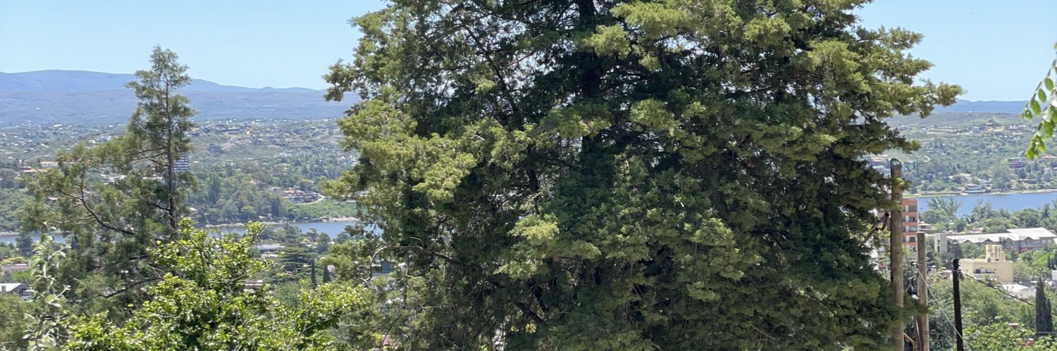 DiegoBossa2's profile banner image