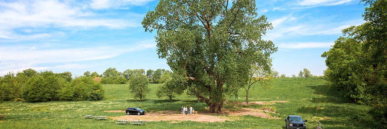 ByronForestPres's profile banner image