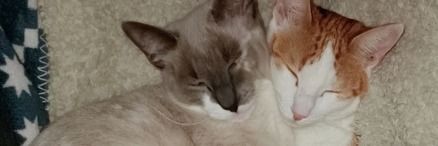 JaimePrez4's profile banner image