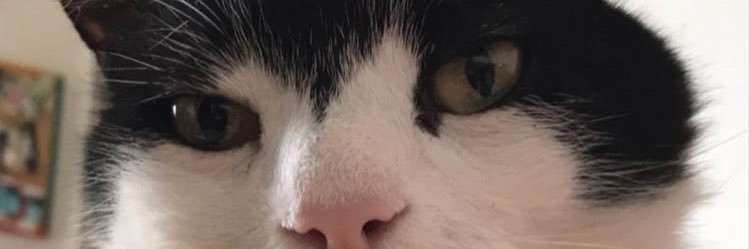 berkksenn's profile banner image
