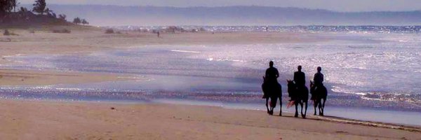 jpmaney Profile Banner