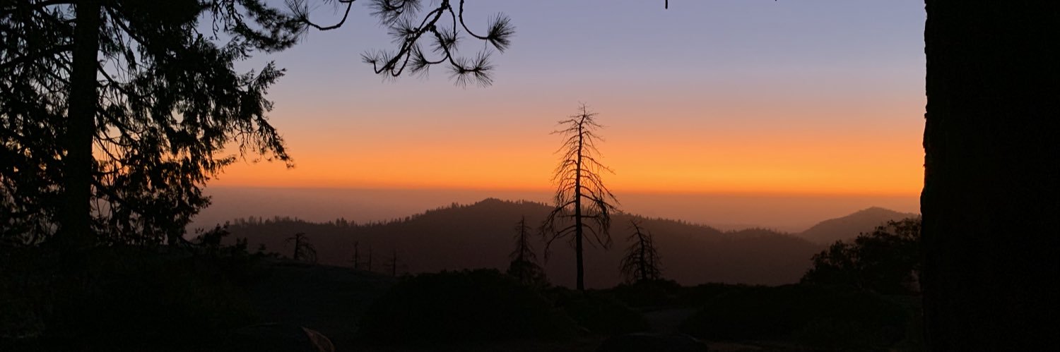 beemaarie's profile banner image