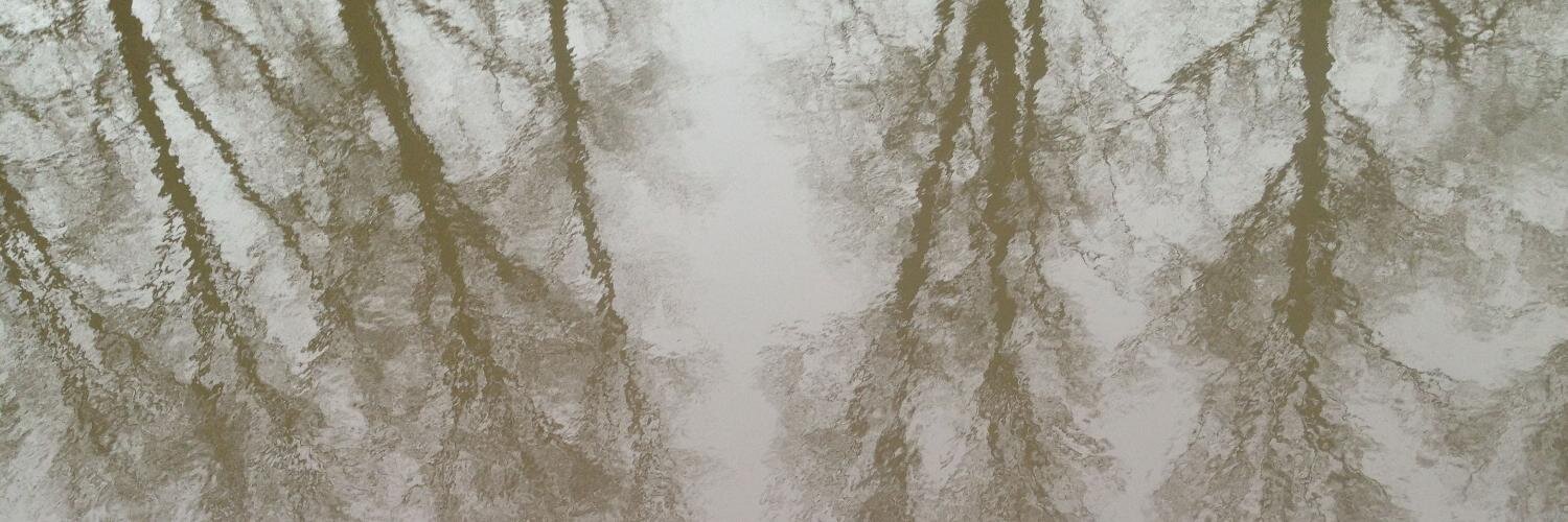 Buke Cuhadar Lynn banner