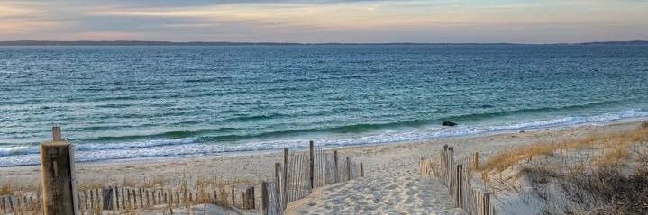 BertuzziCami's profile banner image