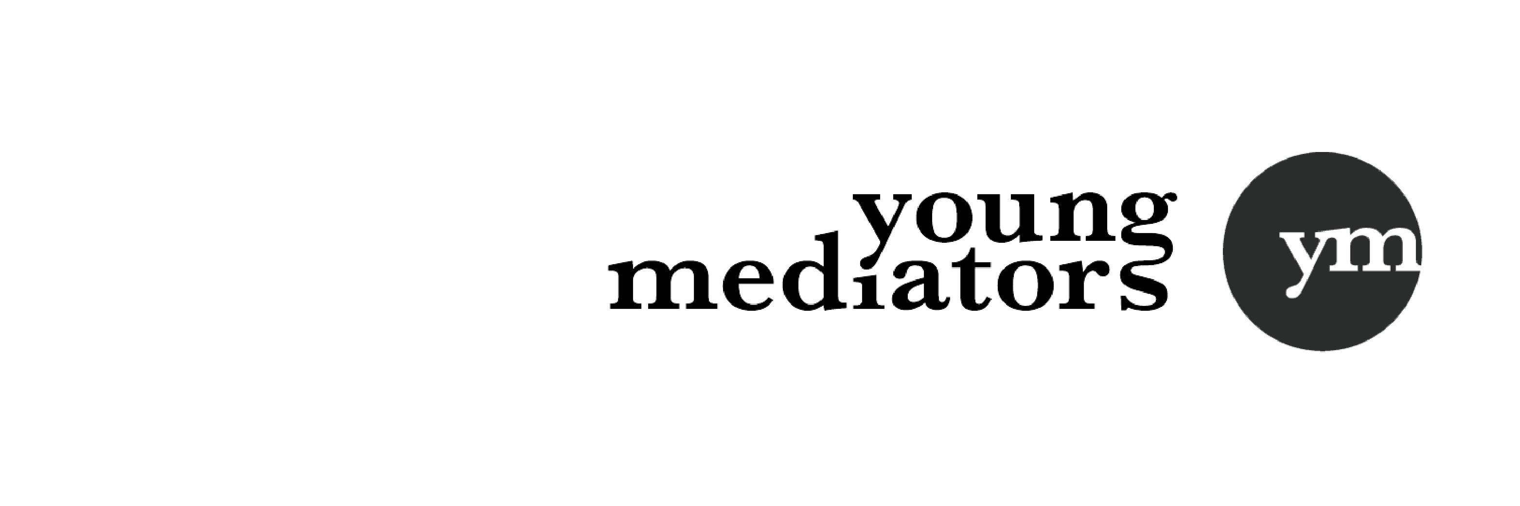 Young Mediators banner