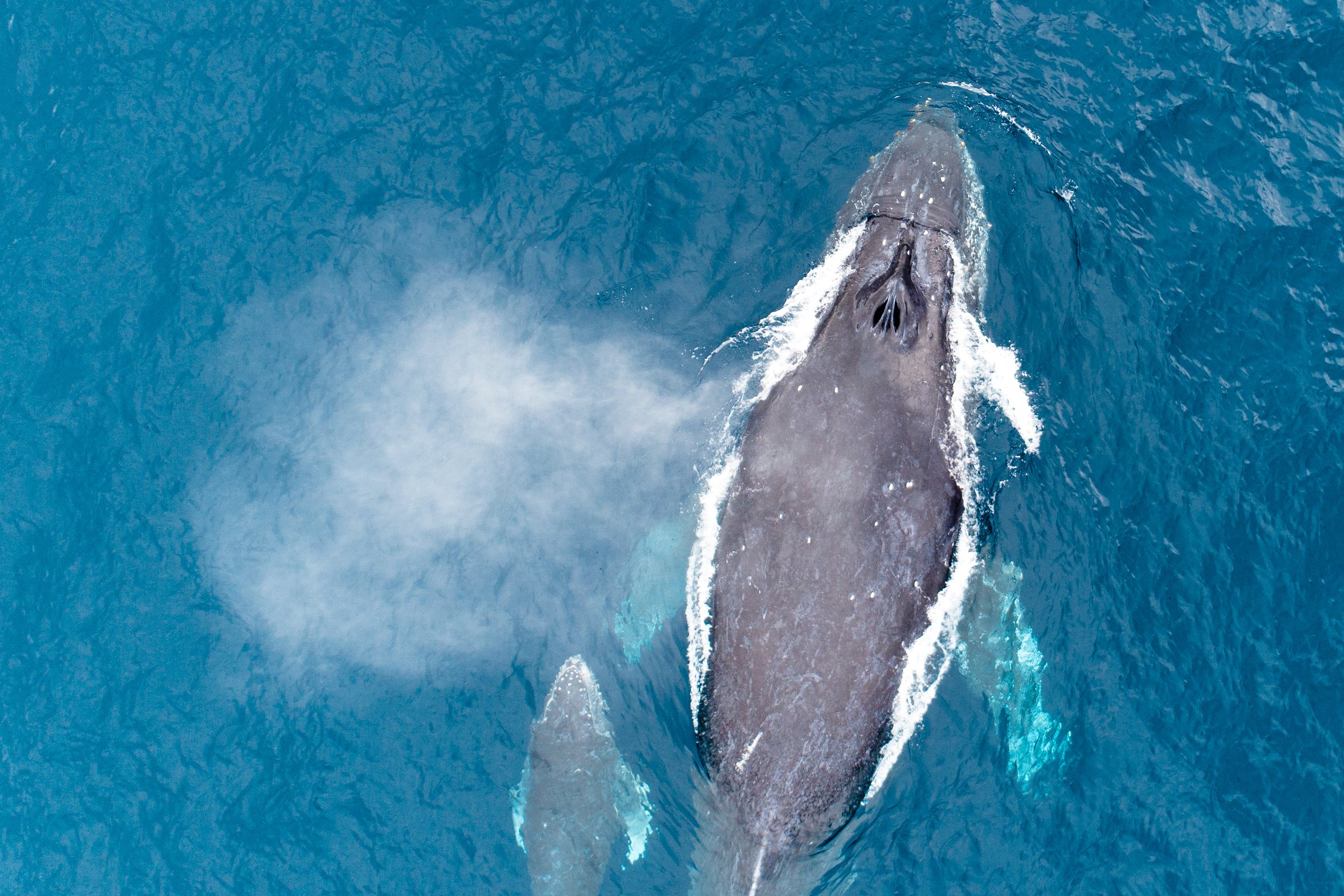 大前 創希(Soki Ohmae) banner