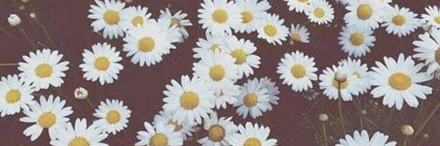 cinthialopes07's profile banner image