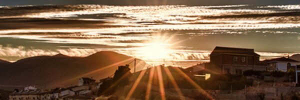 wolfdsc828 Profile Banner