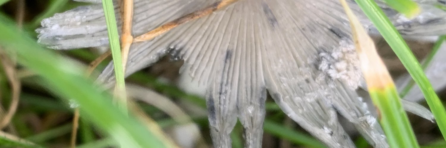 Matthew Taylor banner