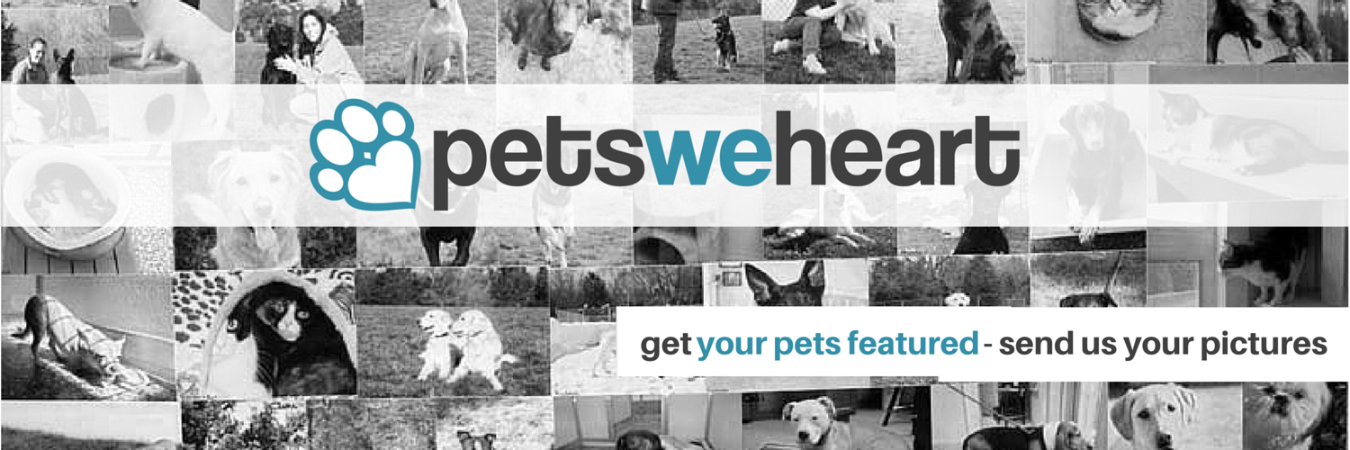 Pets We Heart banner