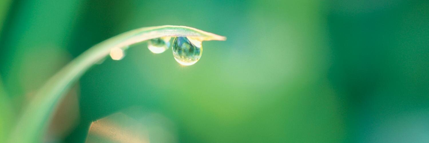 Sébastien Mosser banner