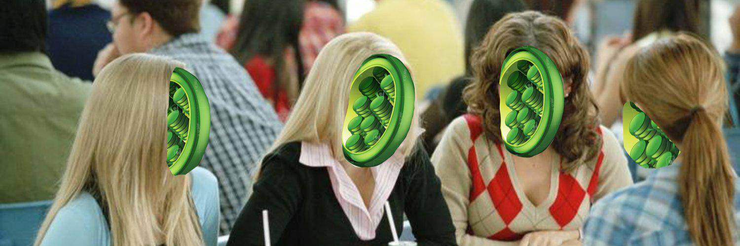 chloro_plastics's profile banner image
