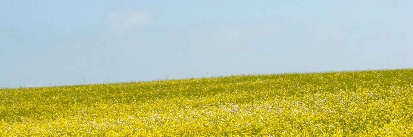 Lucy_Rob99's profile banner image