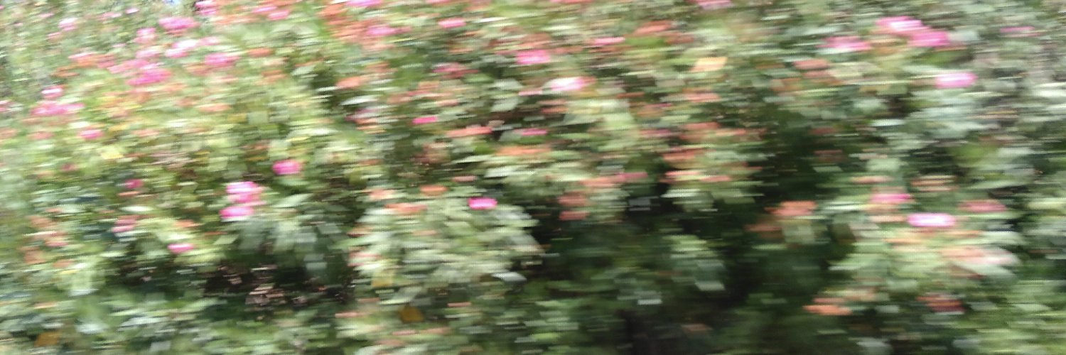 dimidrakaki's profile banner image