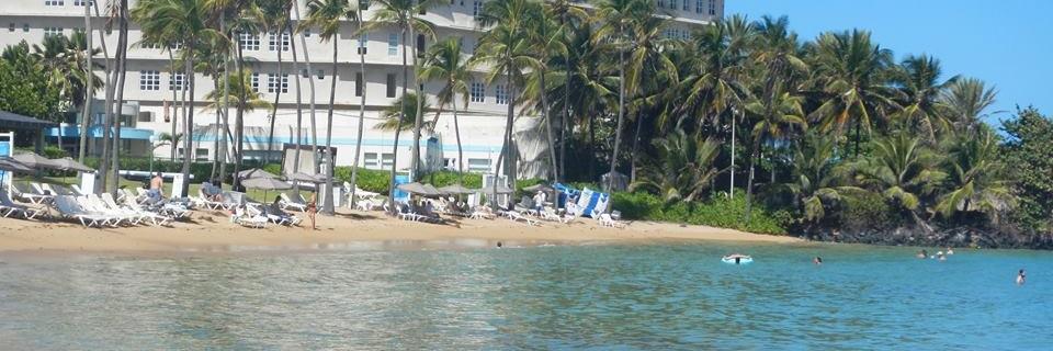 Laurie Burnette-Shook, MSc. ☮️🇺🇸 banner