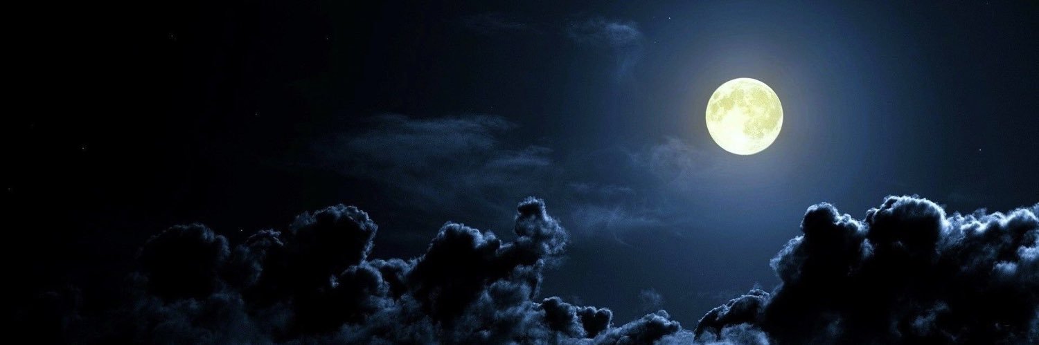 LyvenPie's profile banner image