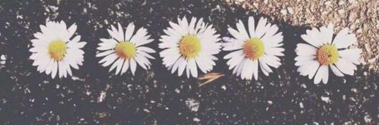 kateroarty's profile banner image