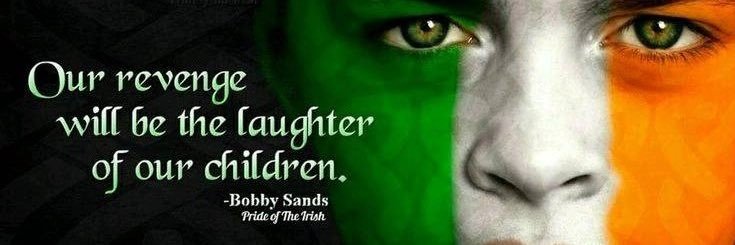 Sir Chris Kelly🇮🇪🇵🇸💙 banner