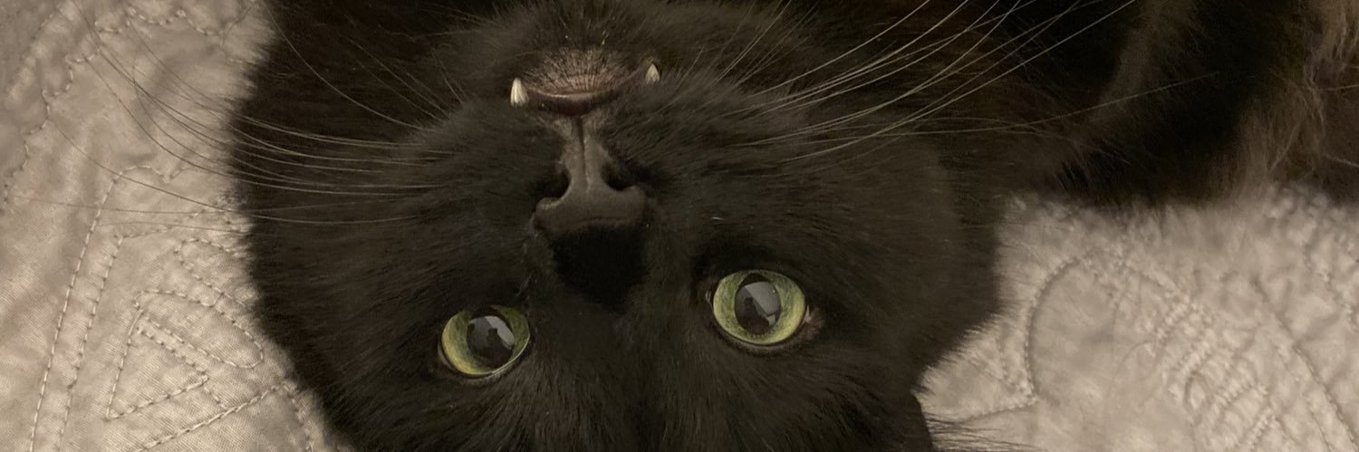 Xander Grzywinski 🐀 banner