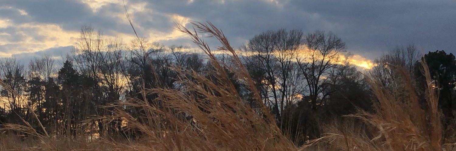 abhedge2's profile banner image