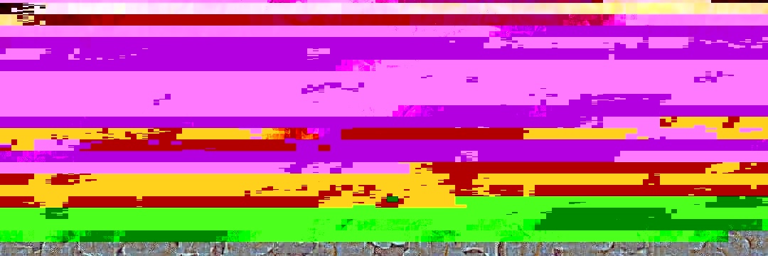 juliamafra99's profile banner image