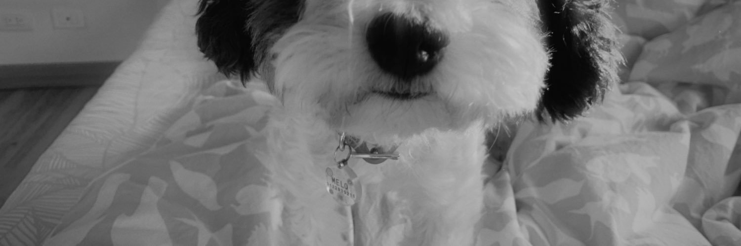 Marialoaal's profile banner image