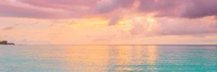 Saritavf_4's profile banner image