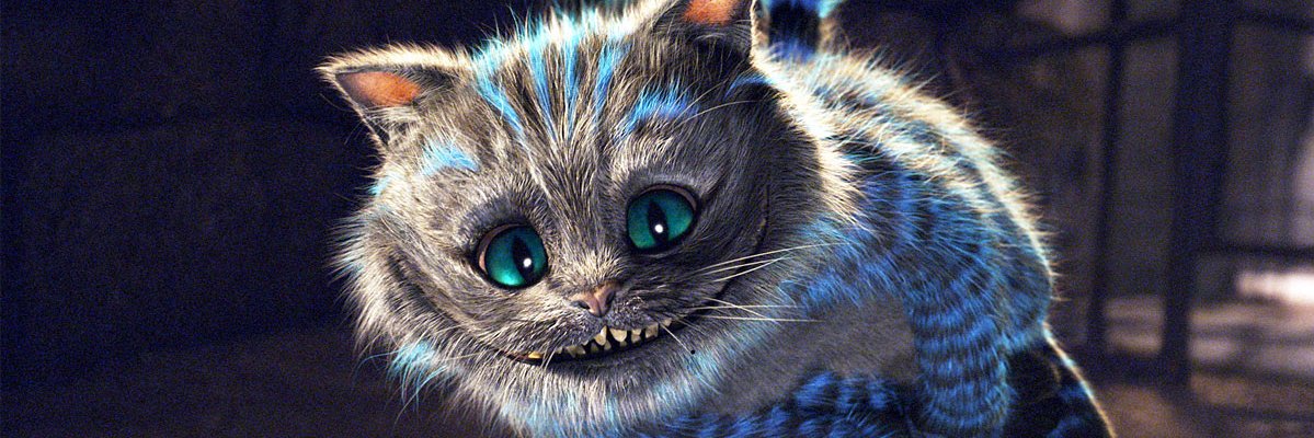 ChrisPCKamp's profile banner image