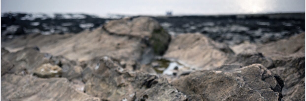 AshaHick's profile banner image