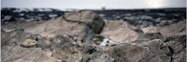 AshaHick Profile Banner