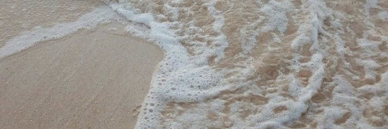 Zcorrotoo's profile banner image