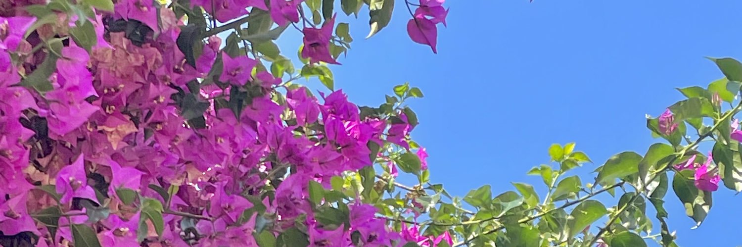 Júlia Moumen banner